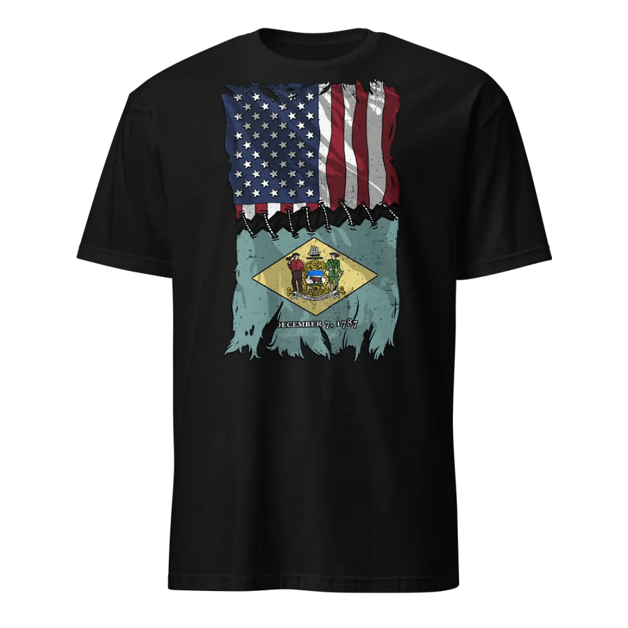 Delaware Stitch Flag USA product image (1)