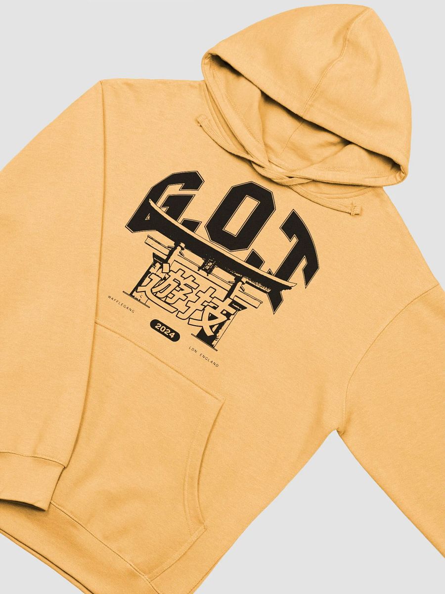 G.O.T VARSITY HOODIE product image (3)