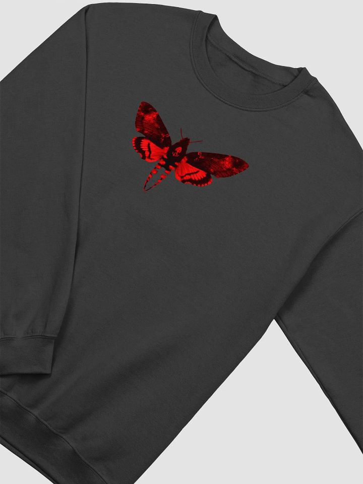 Lil Wayne - I Am Not A Human Being 2 Sweatshirts product image (2)