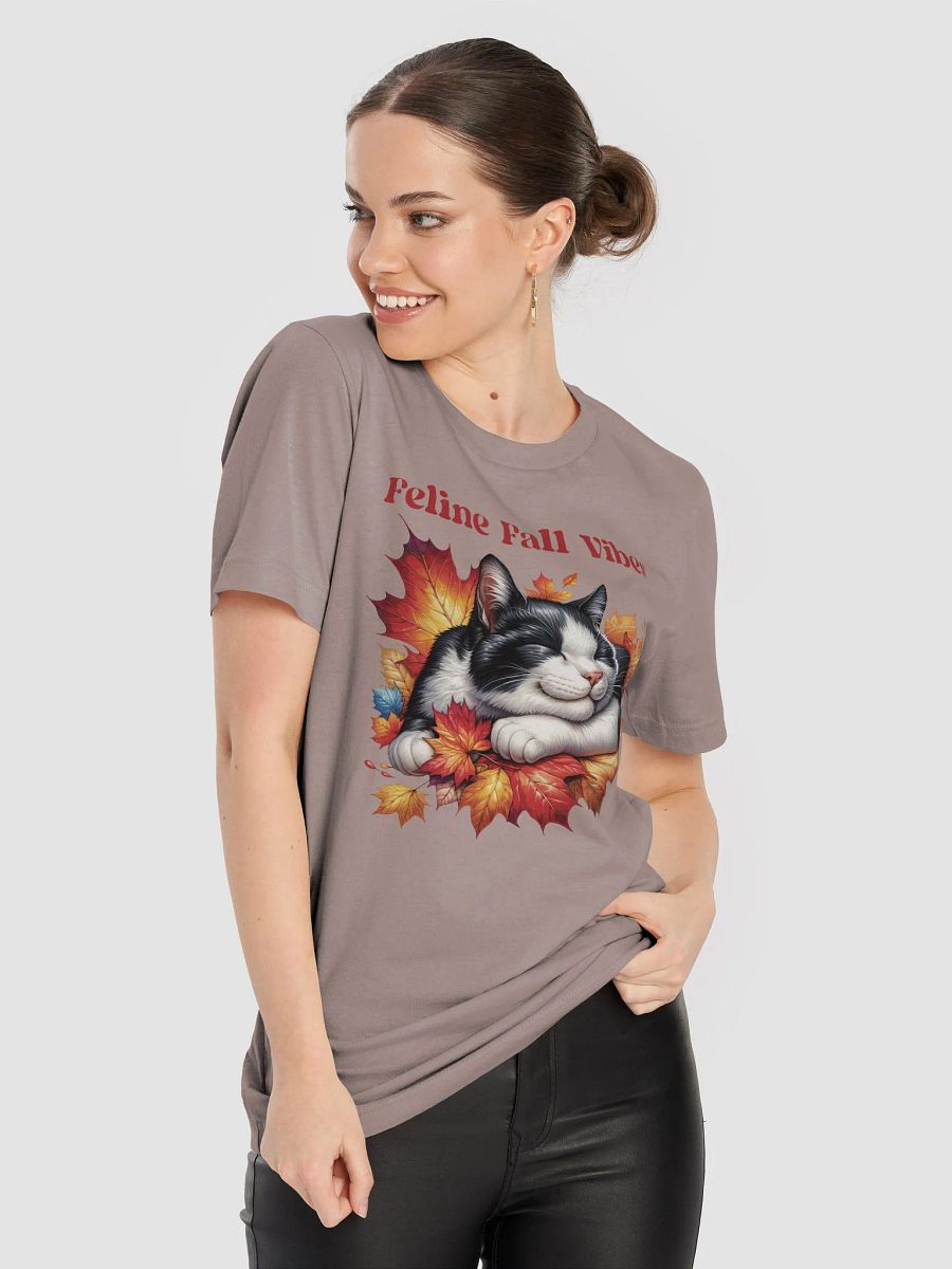 Feline Fall Vibes T-Shirt product image (80)