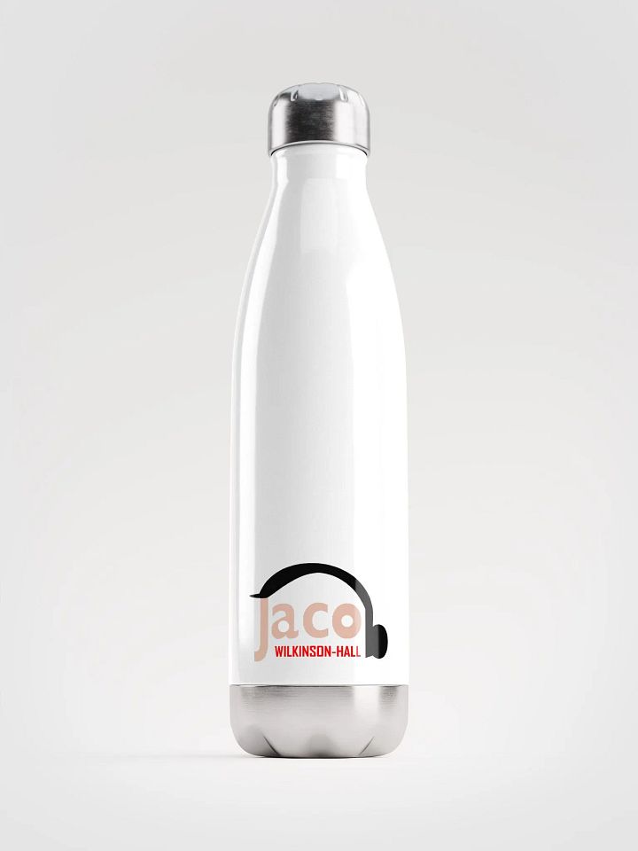 Stainless Steel Water Bottle product image (1)