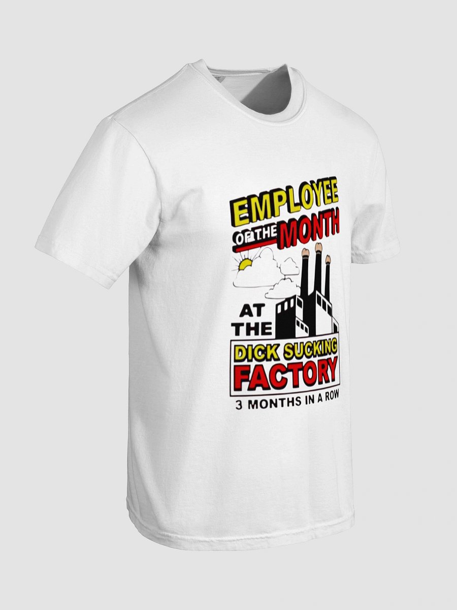 Employee of the Month Parody T-SHIRT product image (7)