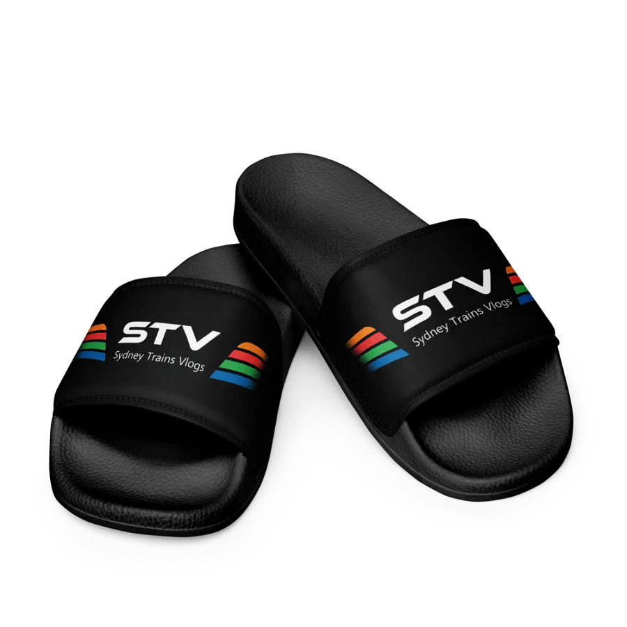STV Slides product image (1)