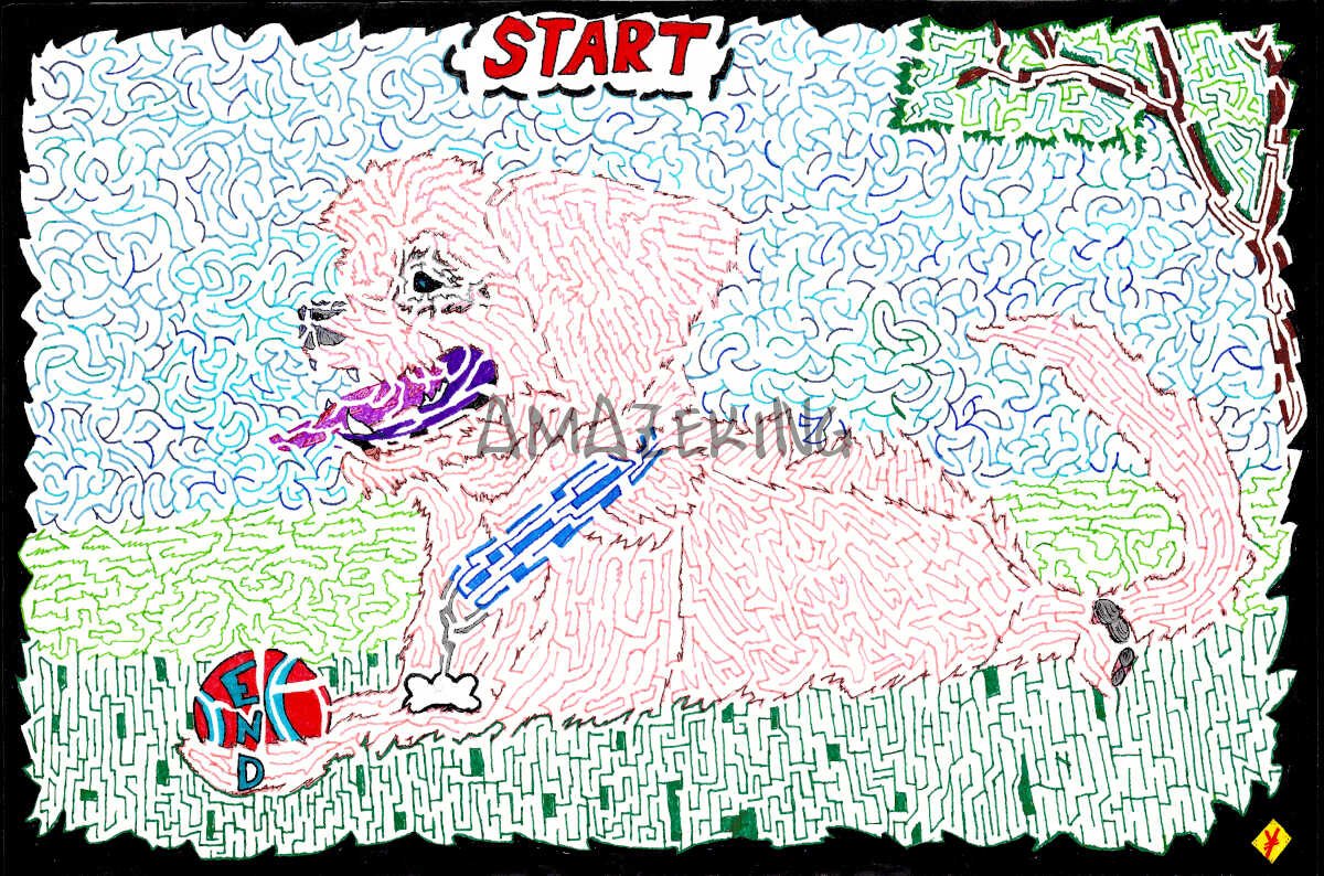 Dog Maze of Summer - Standard 12