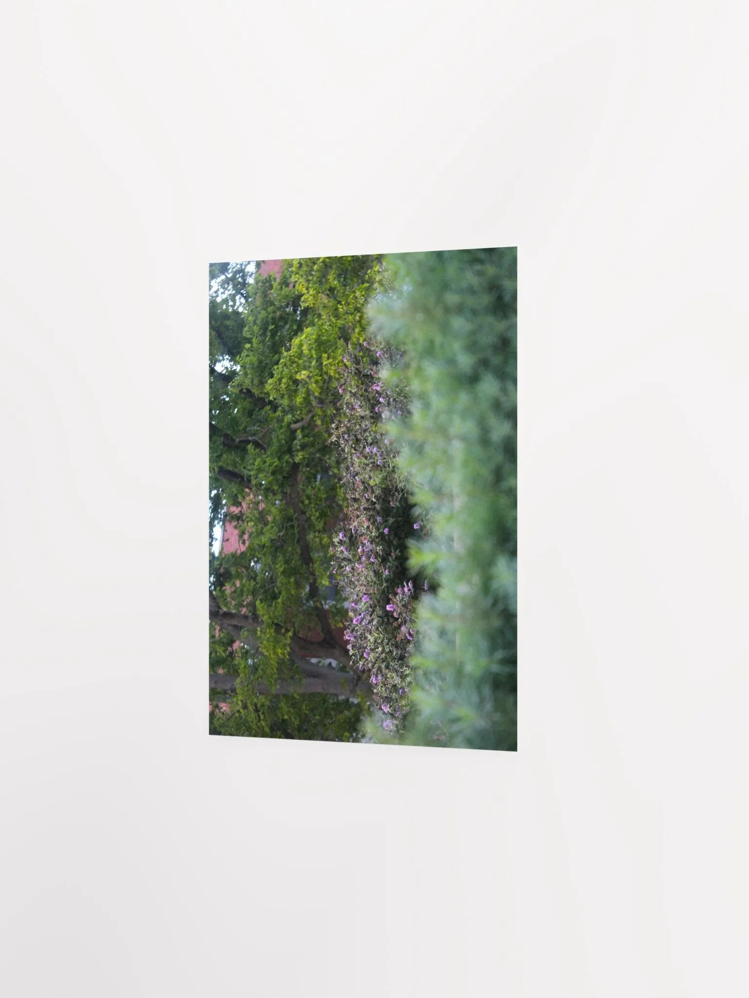 A Study in Flowers 17 product image (15)