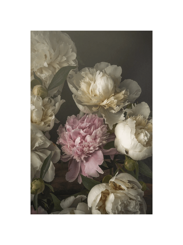 Spring Peonies product image (1)