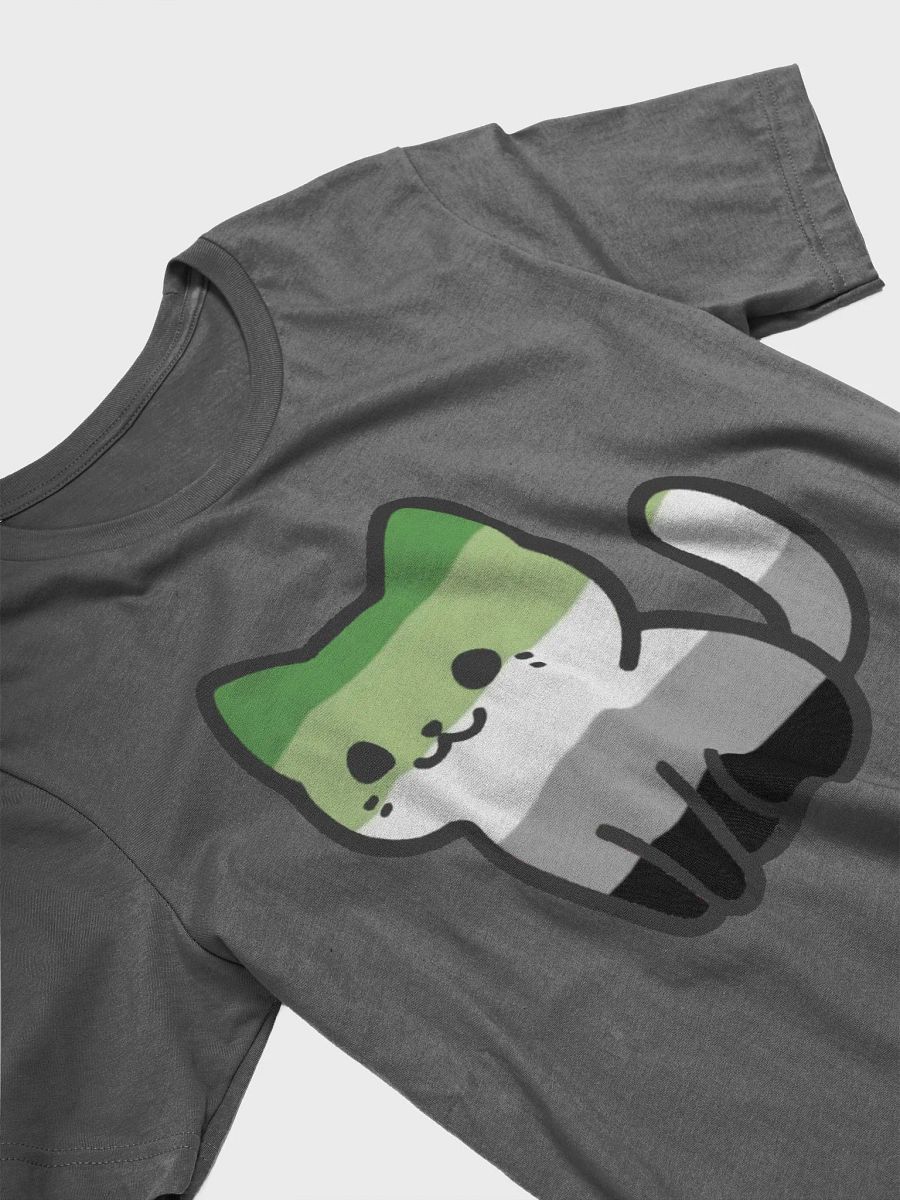 Aromantic Pride Kitty Woman's Shirt product image (31)