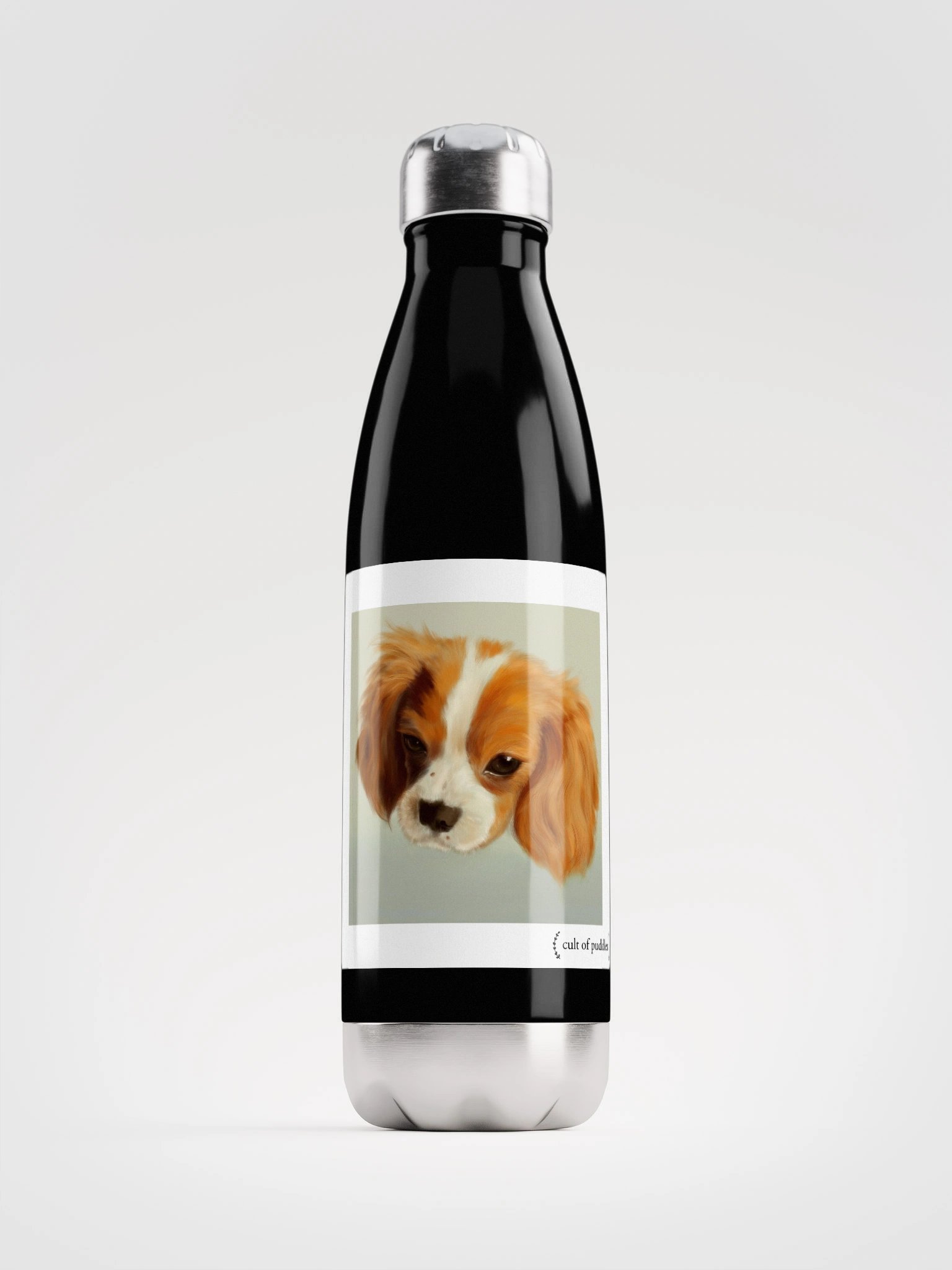 Stainless Steel Cult of Puddles Waterbottle product image (1)