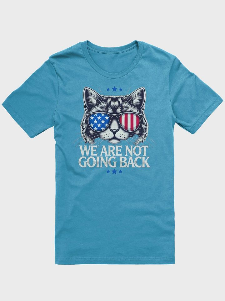 US Election Day 2024 We Are Not Going Back Cat America Flag T-Shirt product image (1)