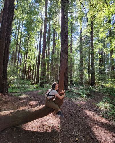 Just a Lil tree hugger with a van that is sometimes parked down the river. ✨️😌 

#nature #redwoods #forest #gremlin #overalls