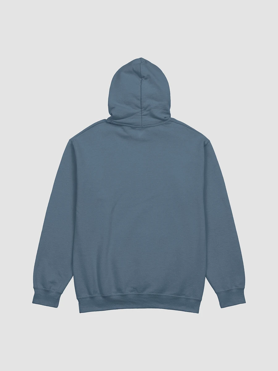 Deliver mail like a girl UNISEX hoodie product image (11)