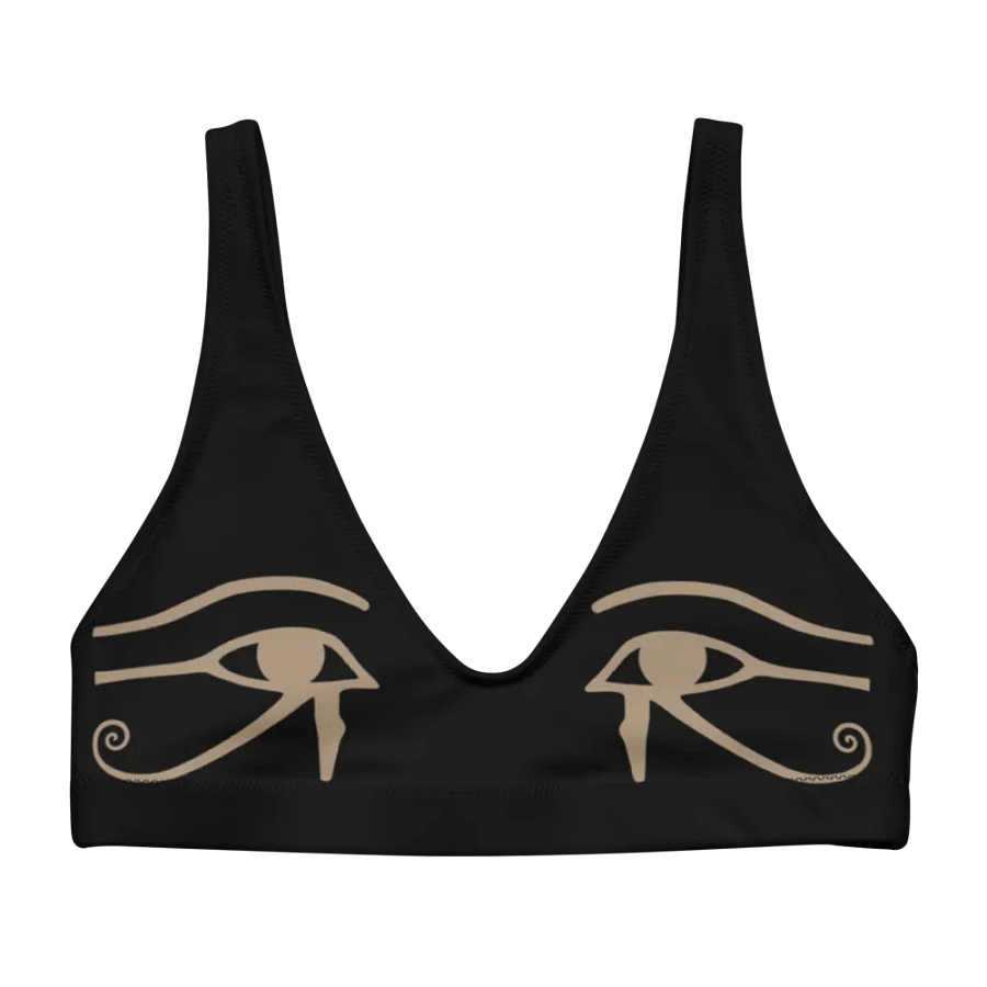 Isis Black Bikini Top product image (1)