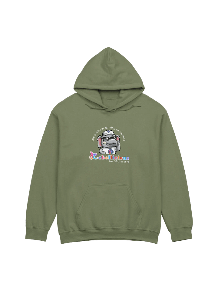 Gildan Classic Hoodie product image (1)