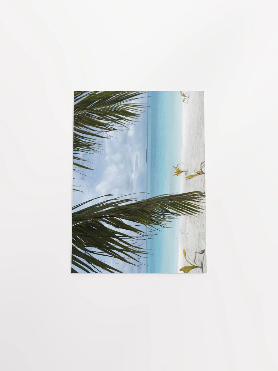 Maldives palm trees - Enhanced Matte Paper Poster product image (13)