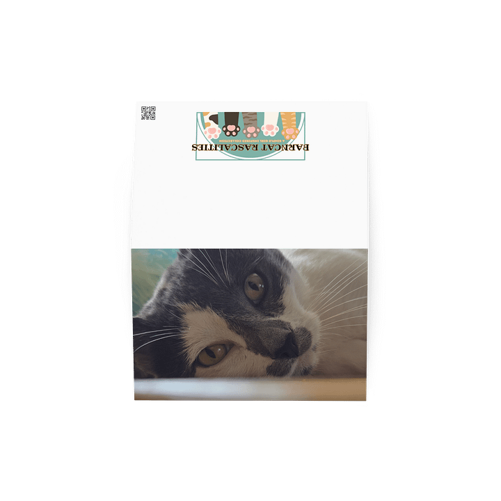 Paislie Feline Gaze Greeting Card product image (4)
