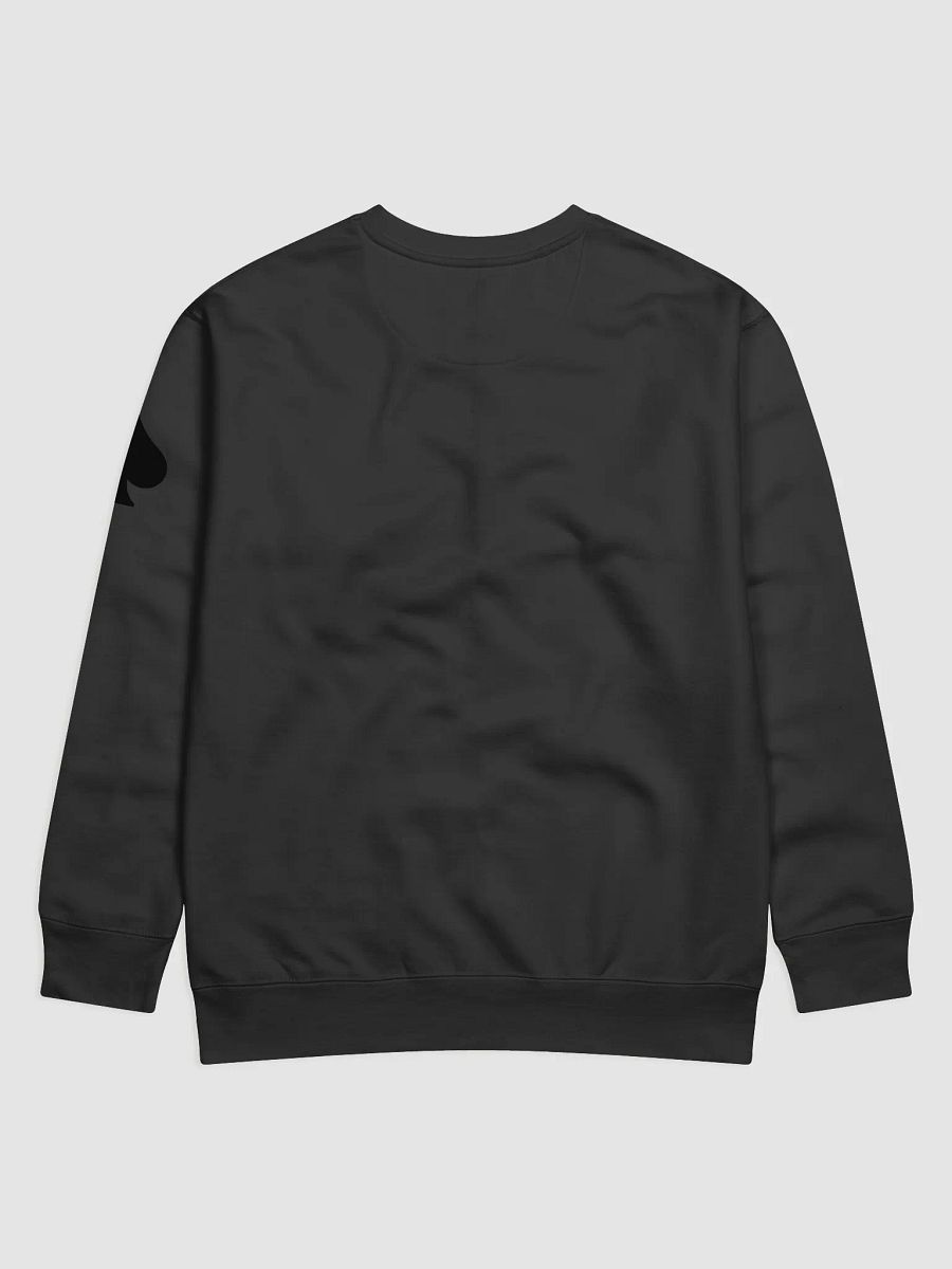 Ace Jumper product image (2)