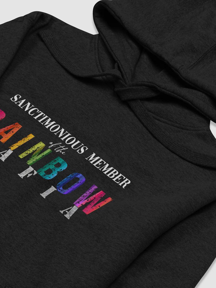 Rainbow Mafia Hoodie product image (12)