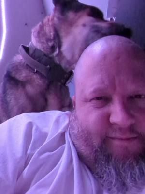 I just shaved my guy what the hell ... #Roman #ShavedHead #Lick #DogsOfTikTok