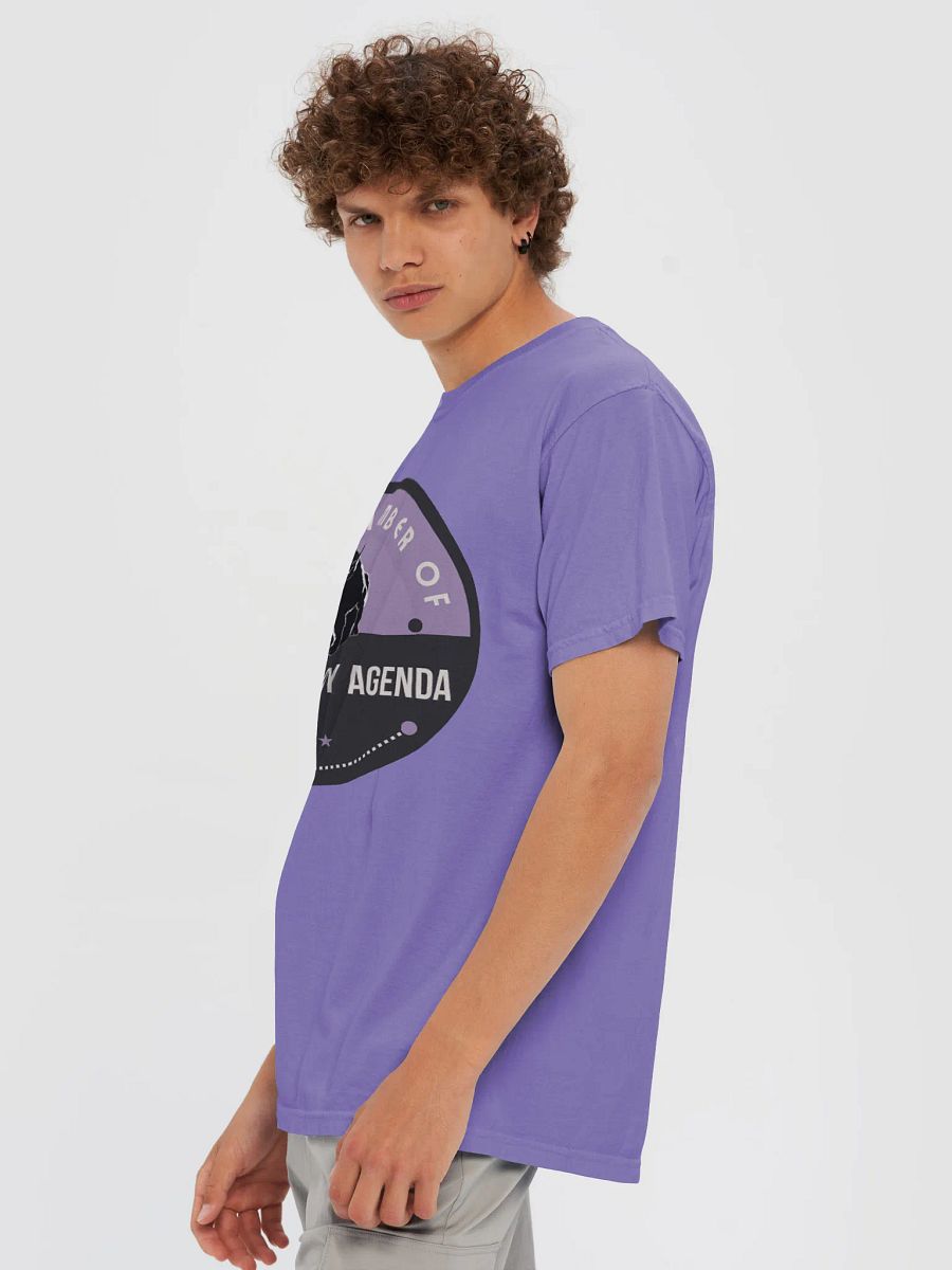 The Cat Lady Agenda: A Feminist Inspired T-shirt product image (6)