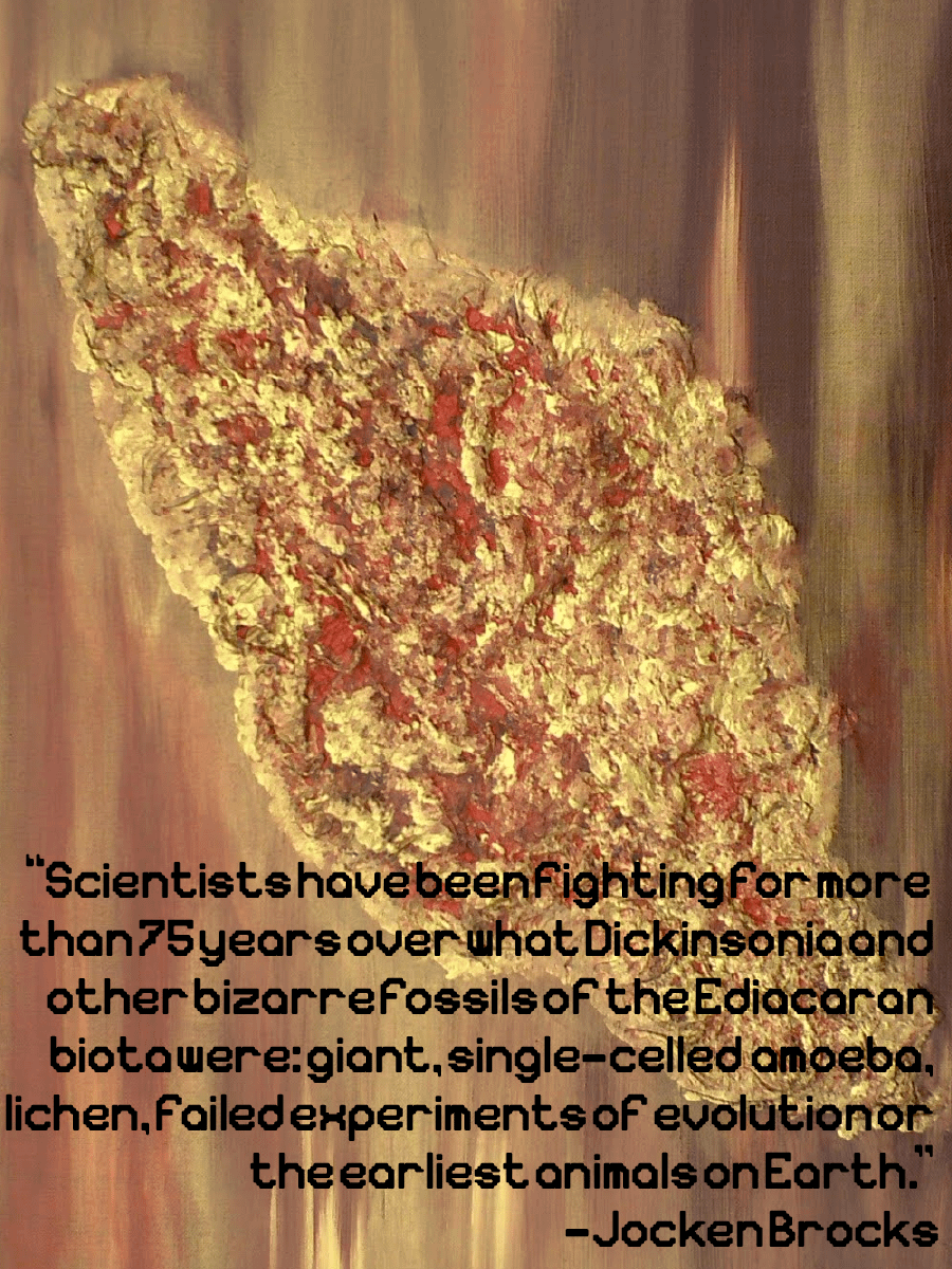 Sarcodina font product image (7)