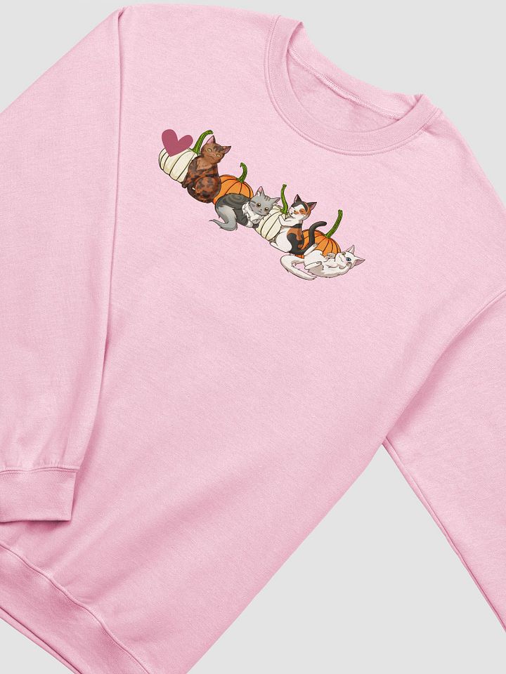 Pumpkin Patch Cats Sweatshirt product image (2)