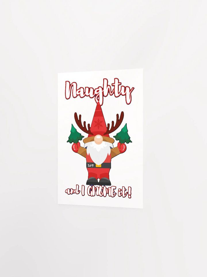 NAUGHTY AND I GNOME IT product image (9)