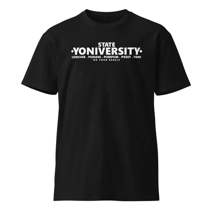SY 2YFEST product image (1)