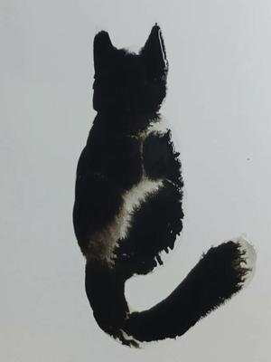 230921_cat2
