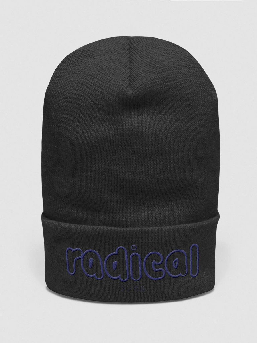Radical Beanie product image (1)