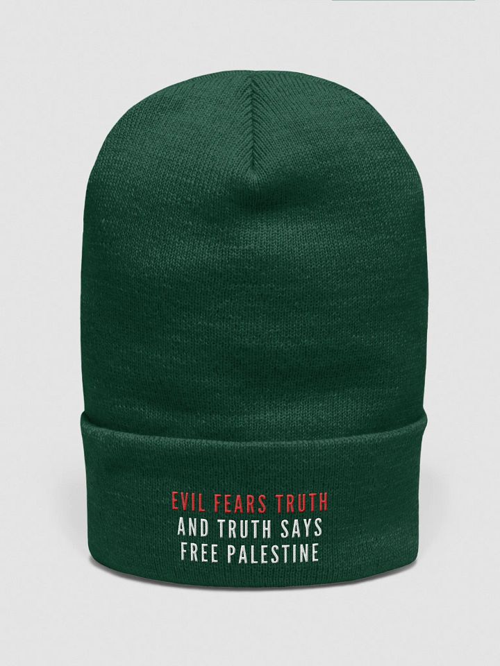 Truth Unveiled Beanie | Evil fears truth, and truth says: Free Palestine. product image (27)