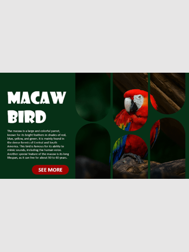 Make Your Presentations Look Stunning & Professional product image (1)