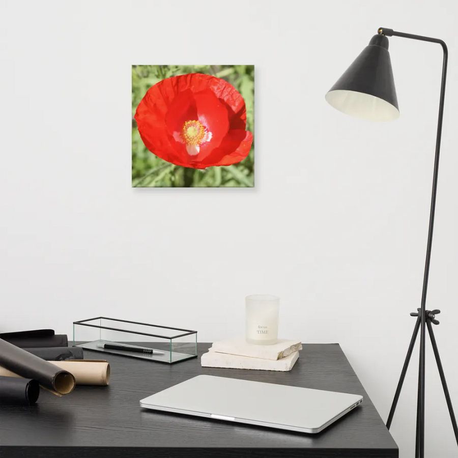 Red Poppy product image (11)