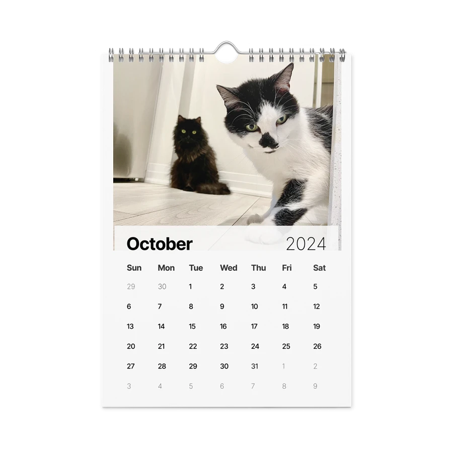 The 2024 ShoKo Cat Calendar product image (16)