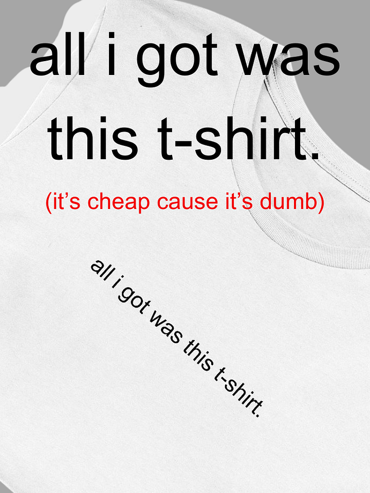 All I Got Was This T-Shirt product image (1)