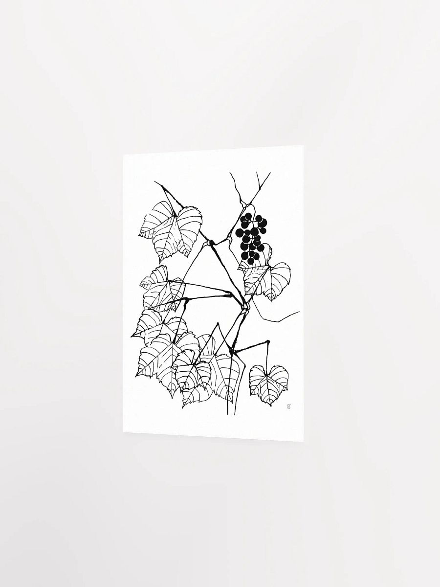 Enchanting Botanical Illustration Poster - Fine Grape Leaves product image (2)