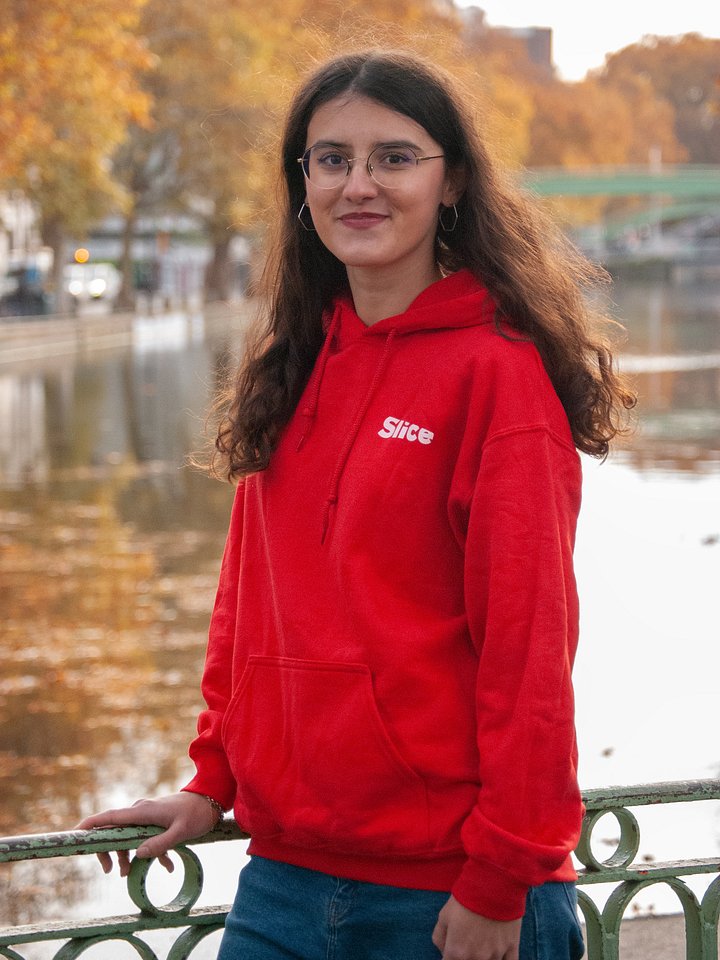 HOODIE SLICE - REAL LIFE IS THE PLOT. product image (2)