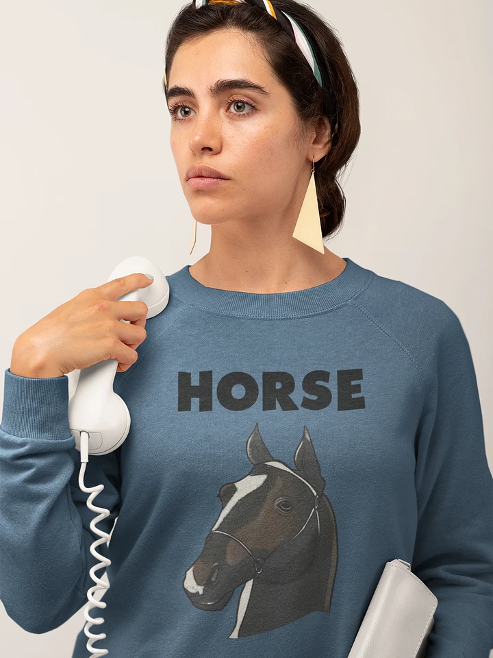 HORSE classic sweatshirt product image (1)