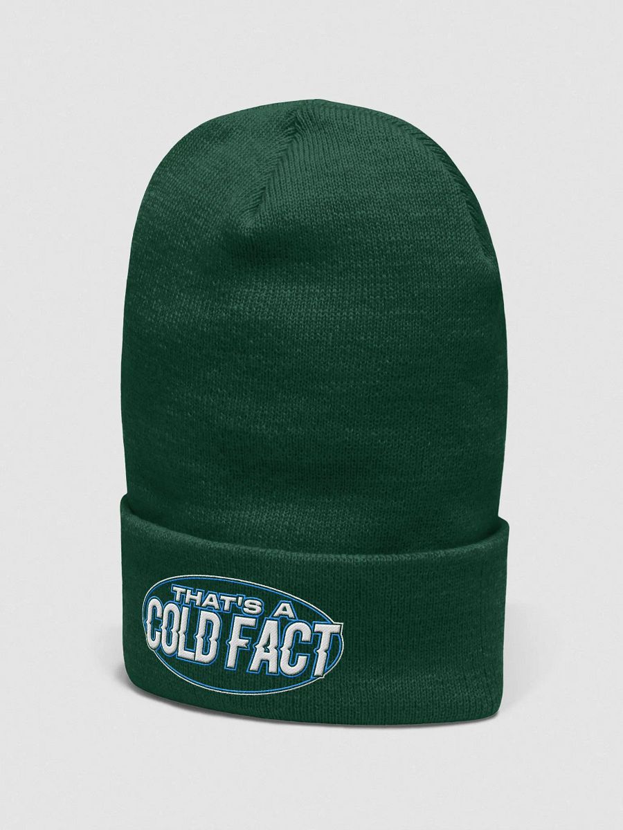 "THAT'S A COLD FACT" Beanie product image (10)