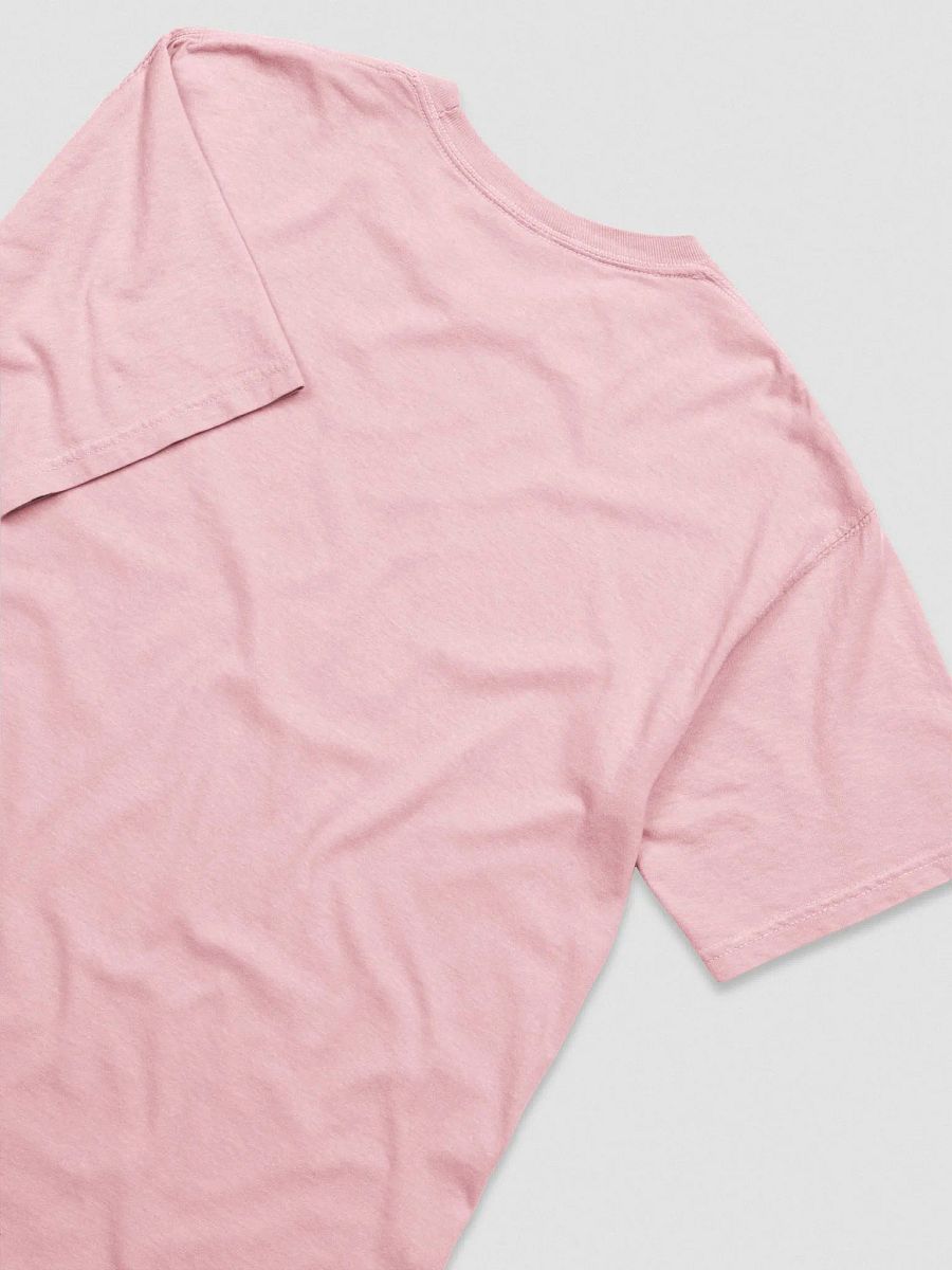 'Too Ugly to Prostitute' Embroidered Tee product image (4)