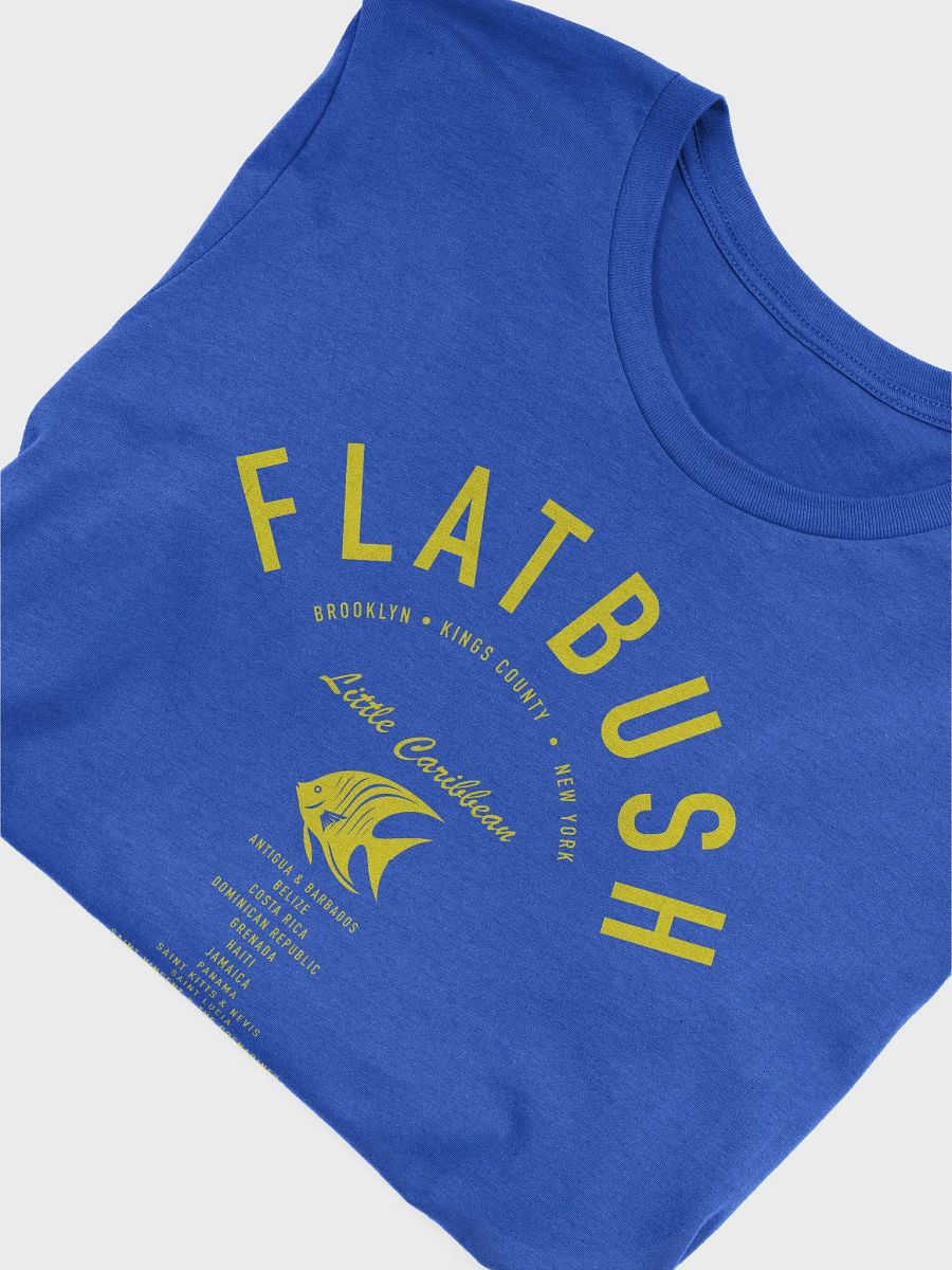 Flatbush Little Caribbean Barbados product image (5)
