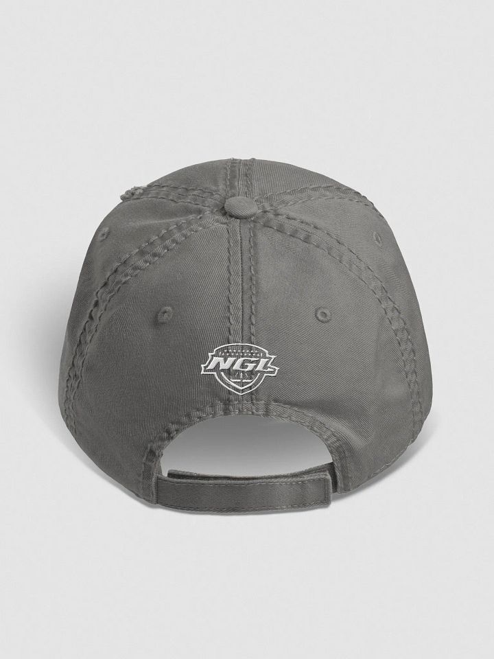 Grand Rapids Rampage Distressed Dat Hat product image (2)