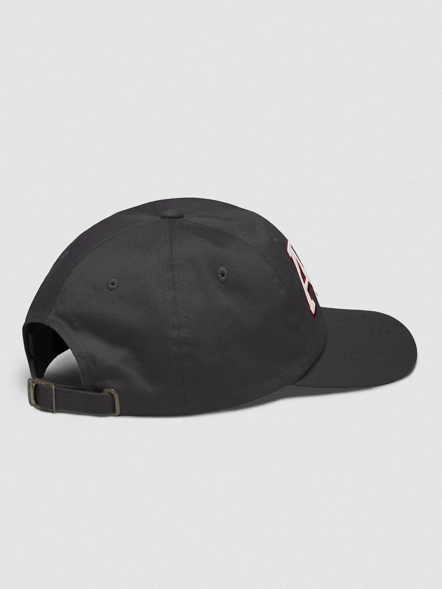 ABC Varsity Hat product image (21)