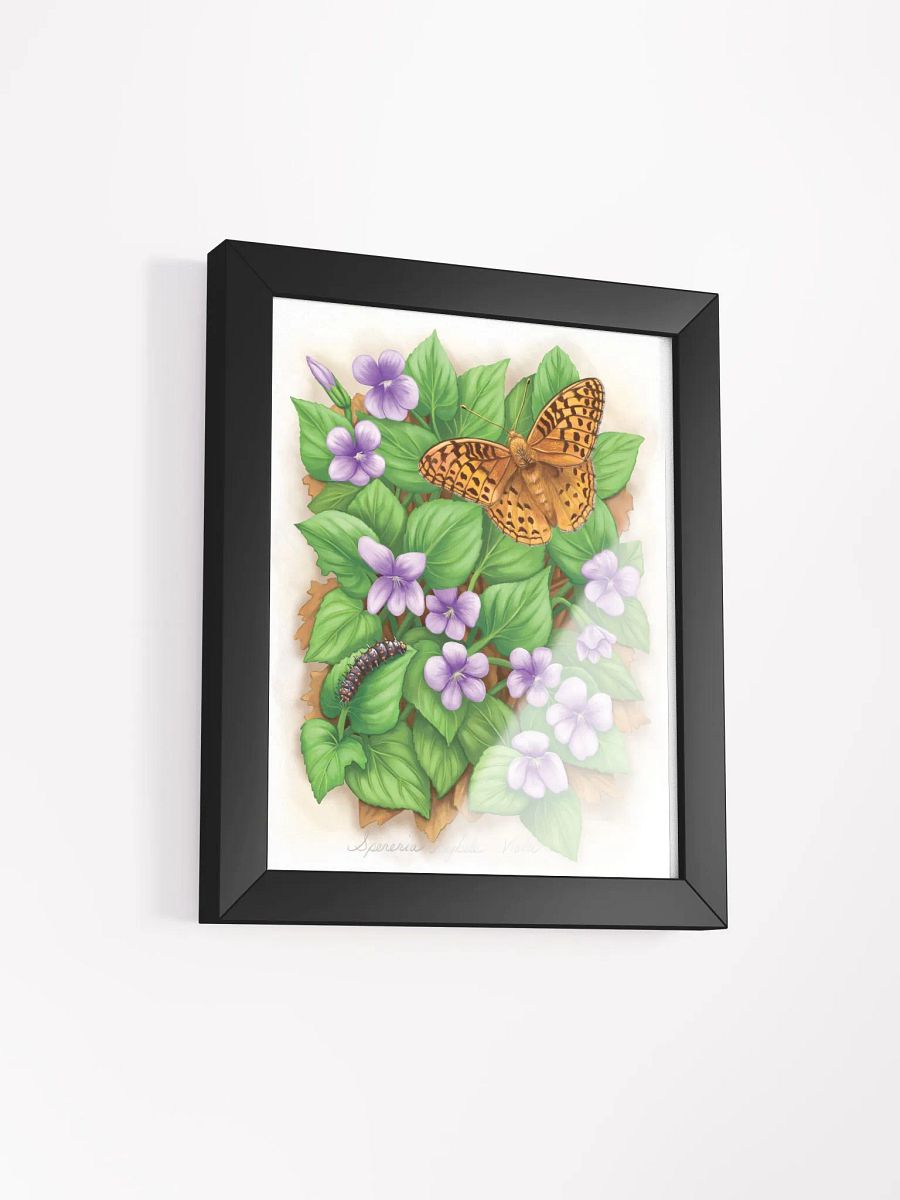 Fritillary Butterfly & Caterpillar product image (19)
