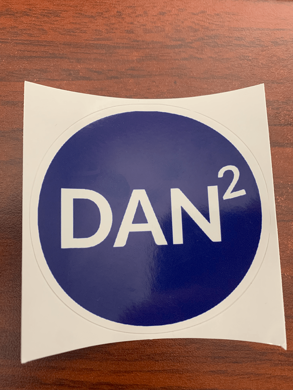 DanSquared Logo Sticker product image (13)