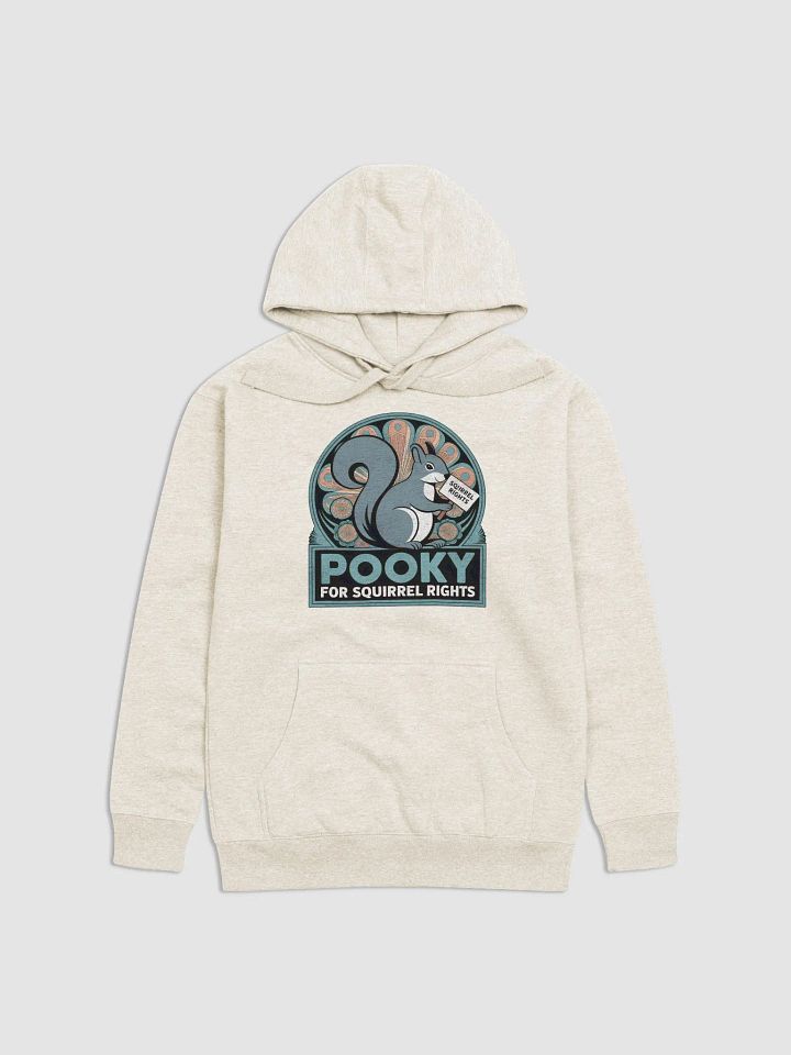 Super Soft Hoodie: Pooky for Squirrel Rights! Deco, teal font. product image (1)