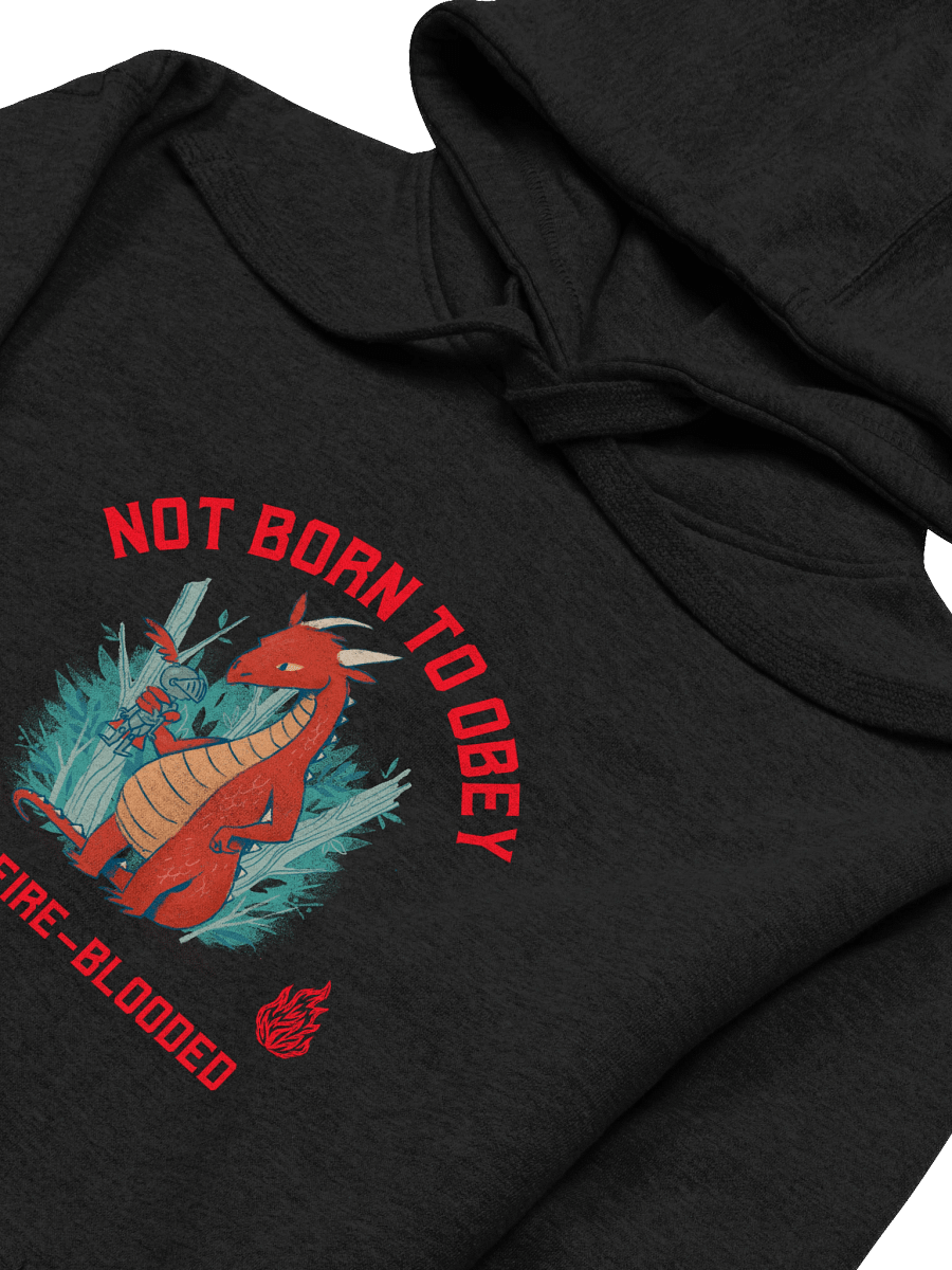 Fire-Blooded Dragon Unisex Hoodie product image (31)