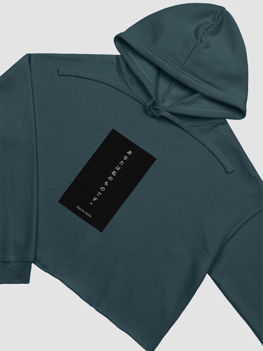 You're Mine Japanese Text Crop Hoodie product image (25)