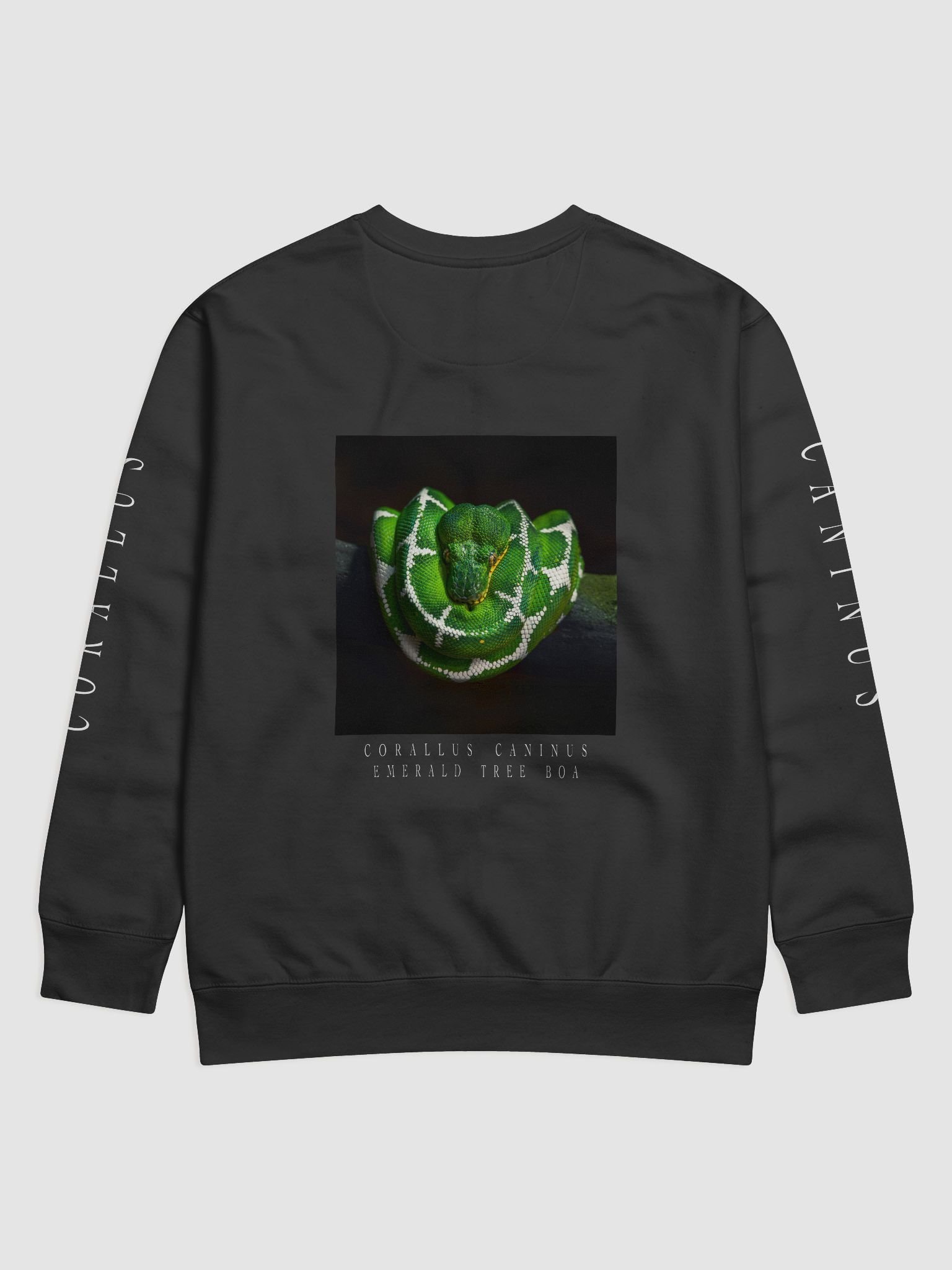 Corallus Caninus Sweatshirt product image (3)