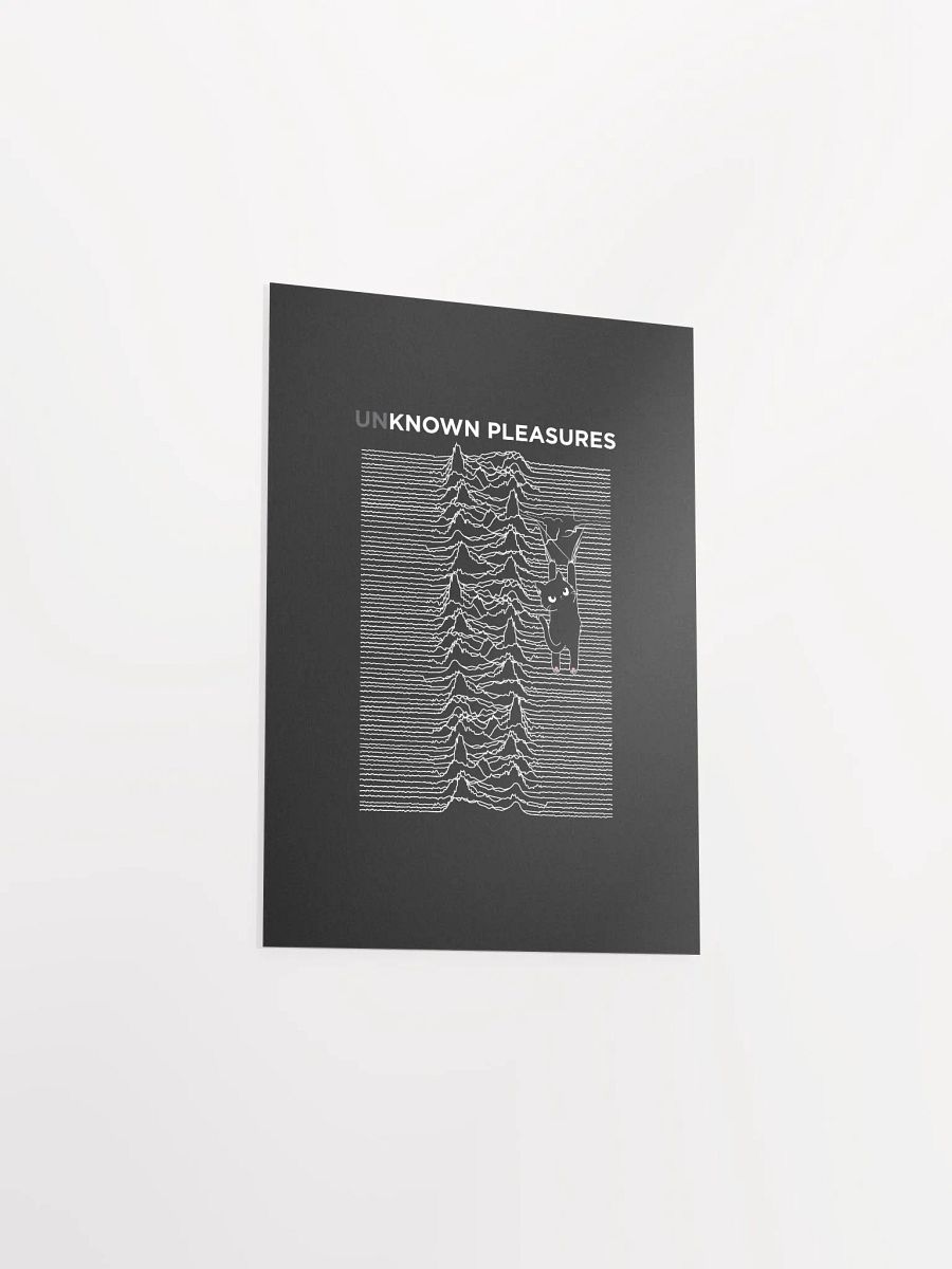 KITTEN'S UNKNOWN PLEASURES product image (29)