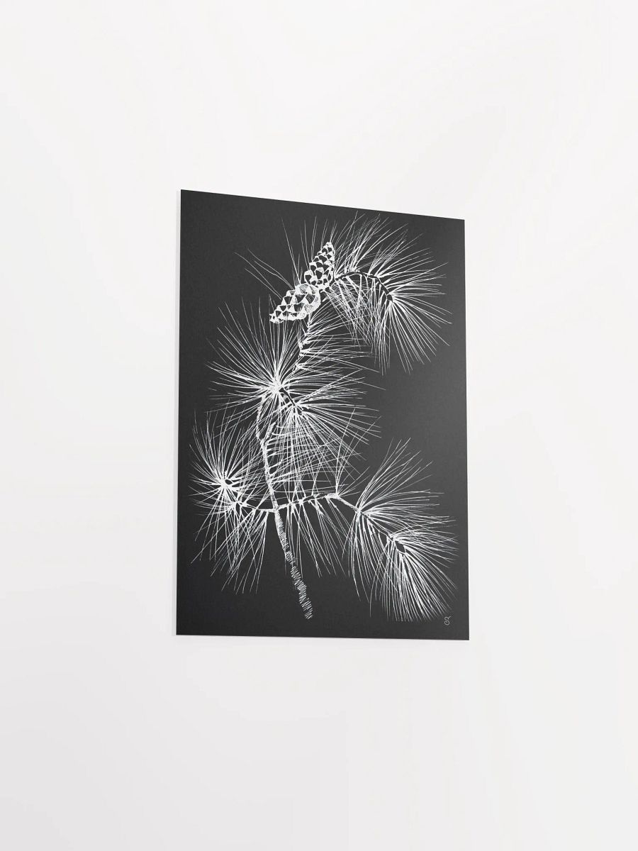 Vibrant Matte Paper Poster - Pine Branch and Cones product image (3)